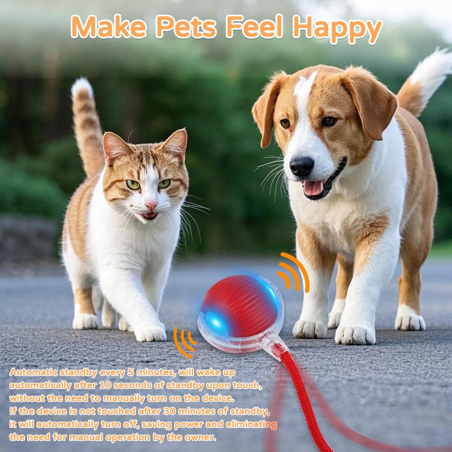 Cat Ball Kitten Toys for Indoor