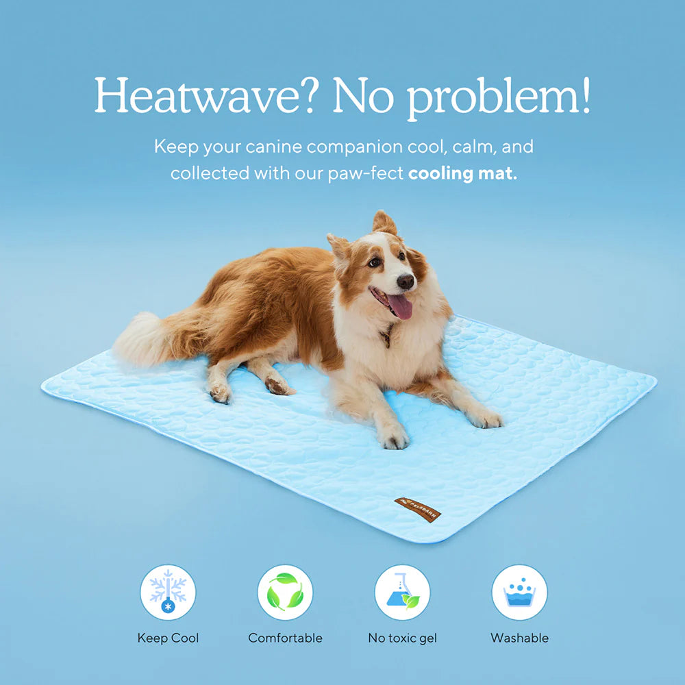 Pet Cooling Mat