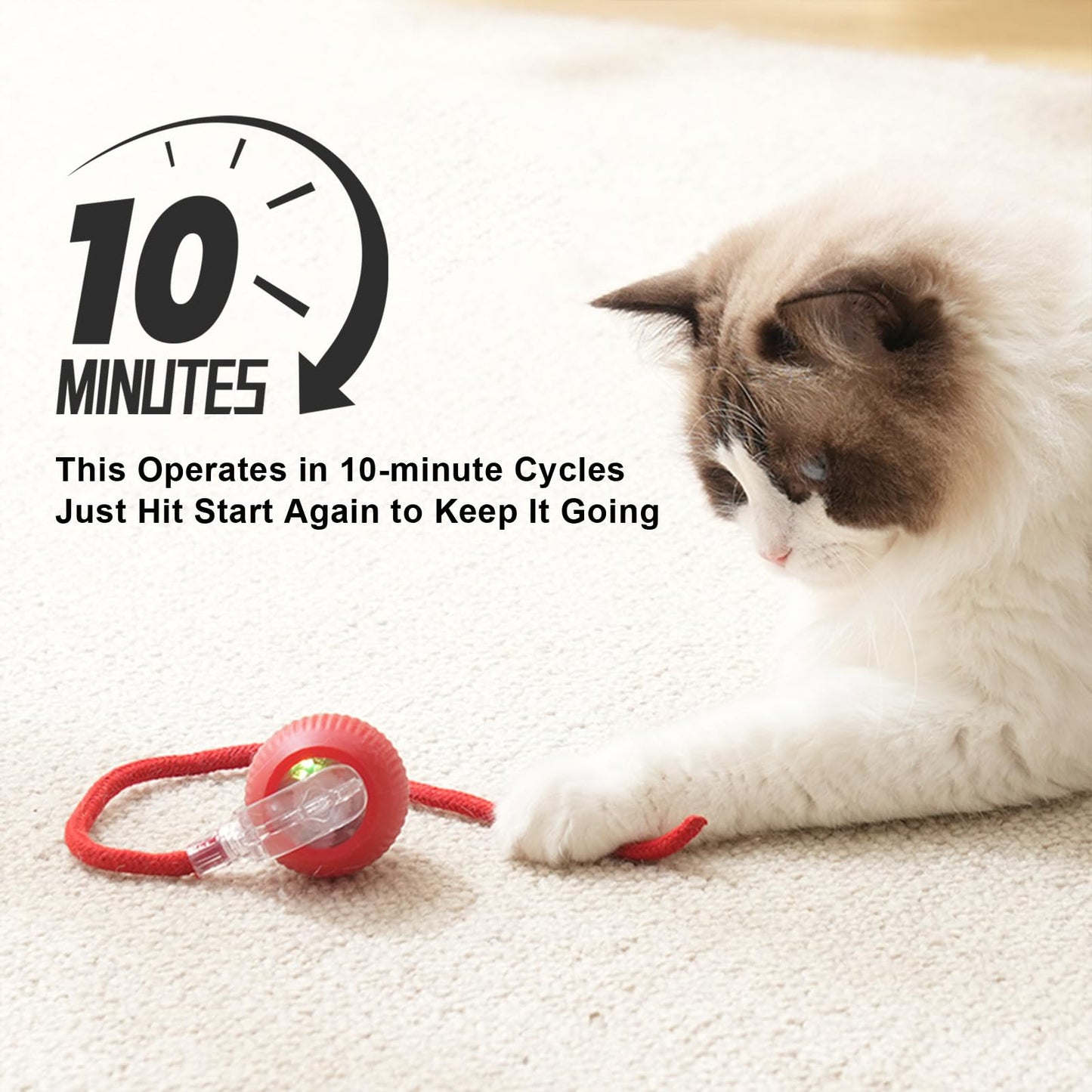 Cat Ball Kitten Toys for Indoor