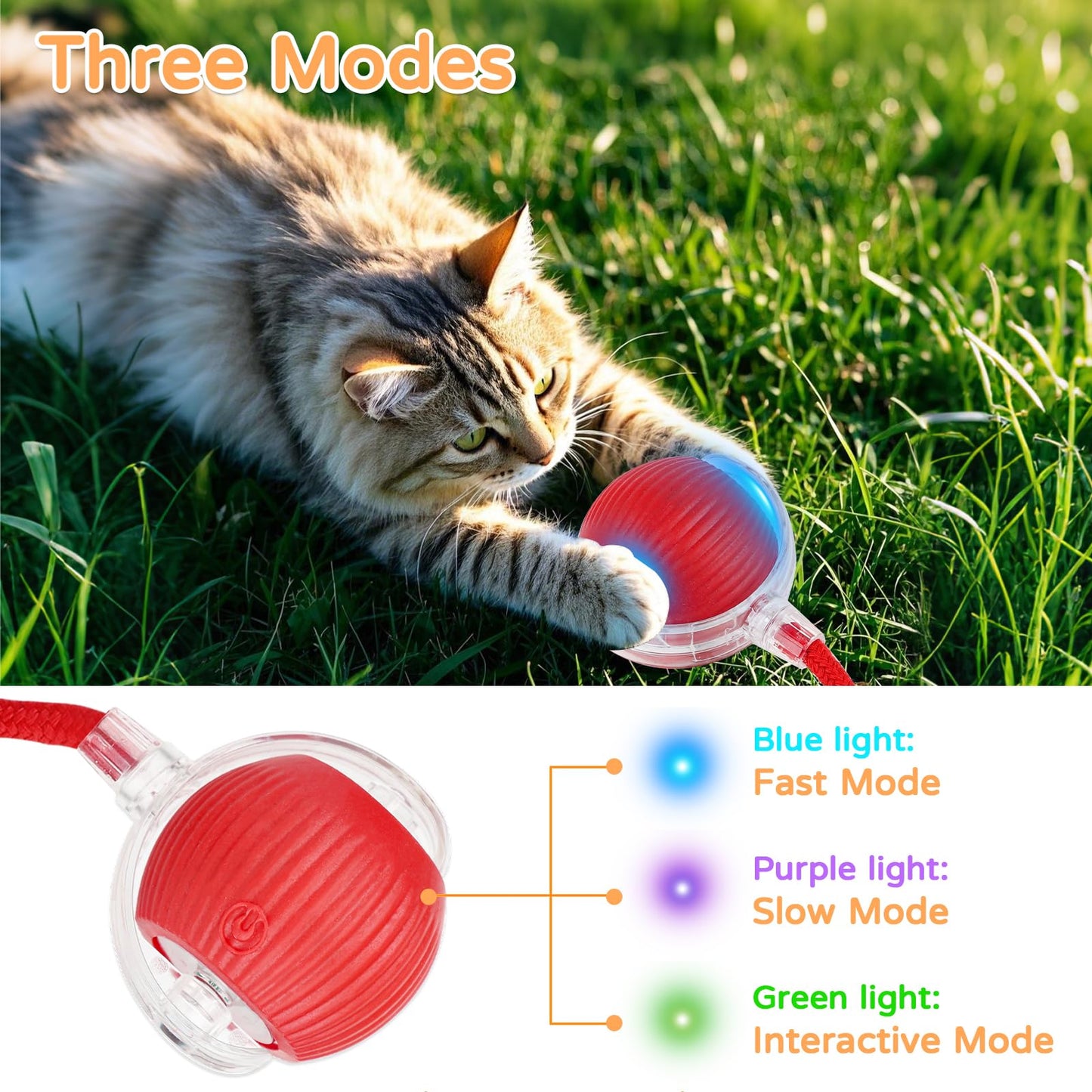 Cat Ball Kitten Toys for Indoor