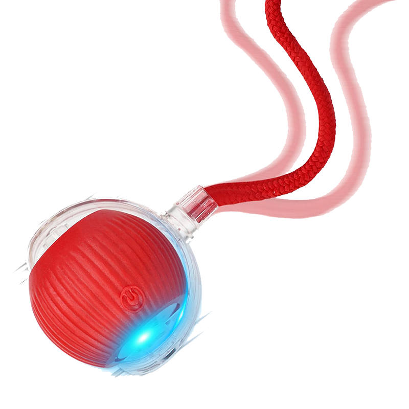 Cat Ball Kitten Toys for Indoor