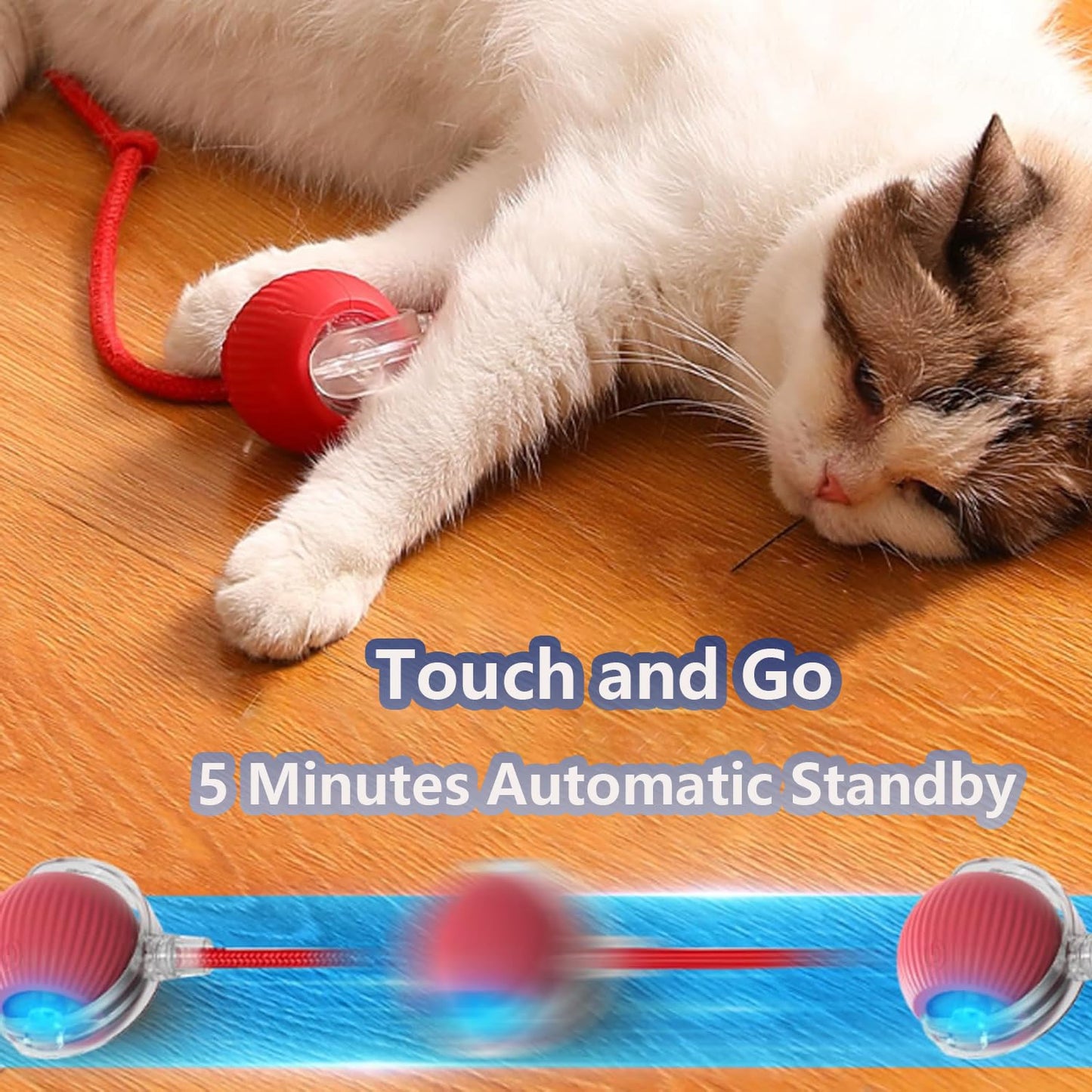 Cat Ball Kitten Toys for Indoor