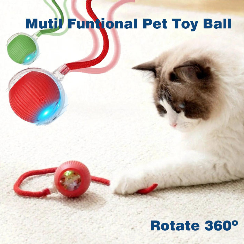 Cat Ball Kitten Toys for Indoor