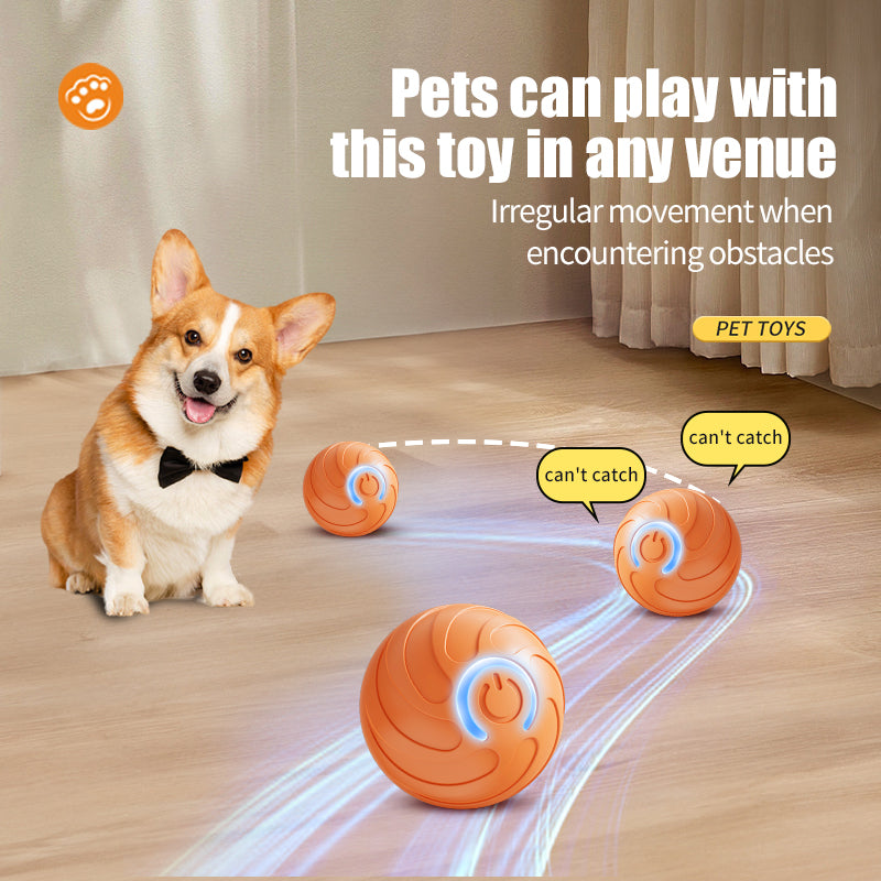 PET SMART JUMP BALL