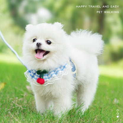 Cute Cat and Dog Harness & Leash Set