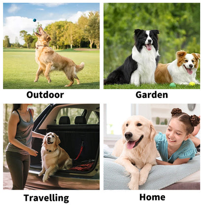 Pet Grooming Glove Wipes