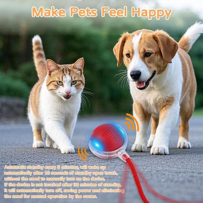 Cat Ball Kitten Toys for Indoor