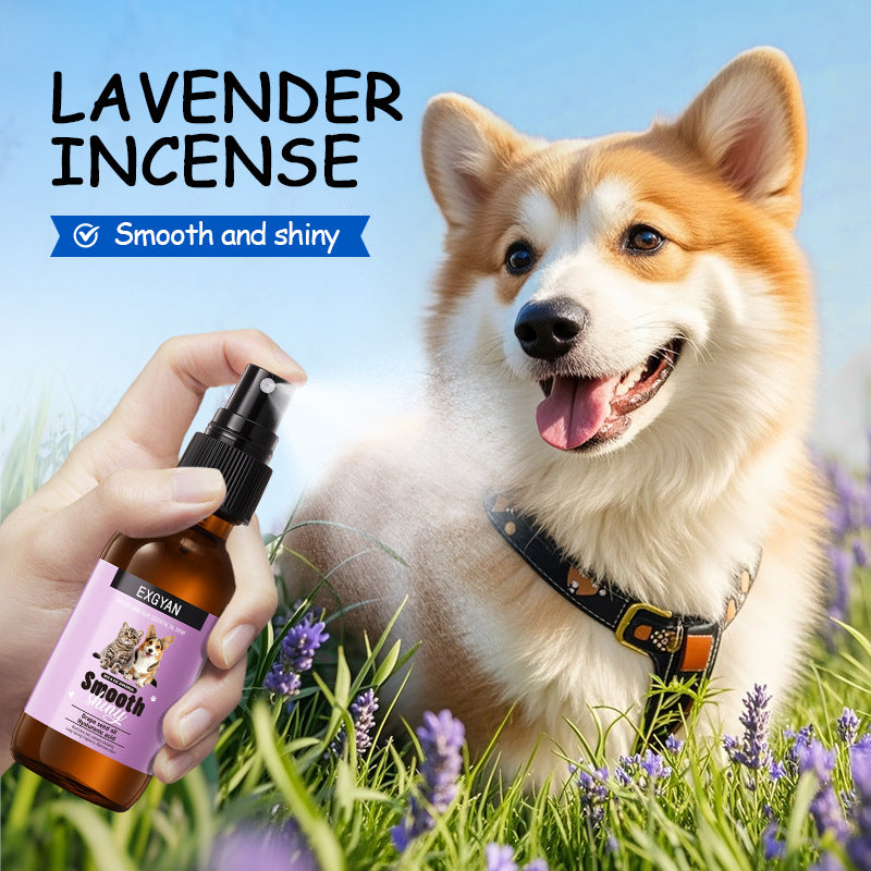 Spray of Pet Softening Hair Essential Oil