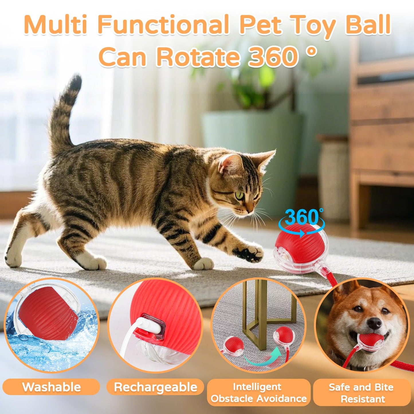 Cat Ball Kitten Toys for Indoor