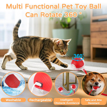 Cat Ball Kitten Toys for Indoor