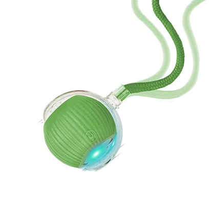 Cat Ball Kitten Toys for Indoor