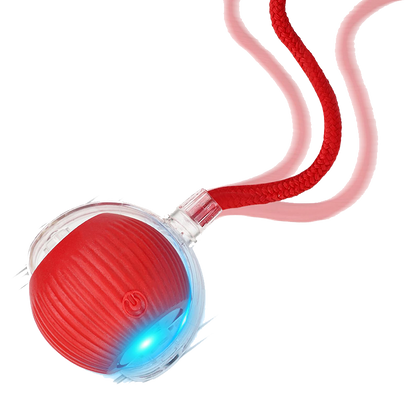 Cat Ball Kitten Toys for Indoor