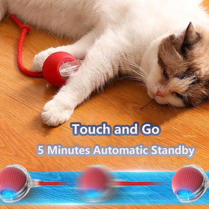 Cat Ball Kitten Toys for Indoor
